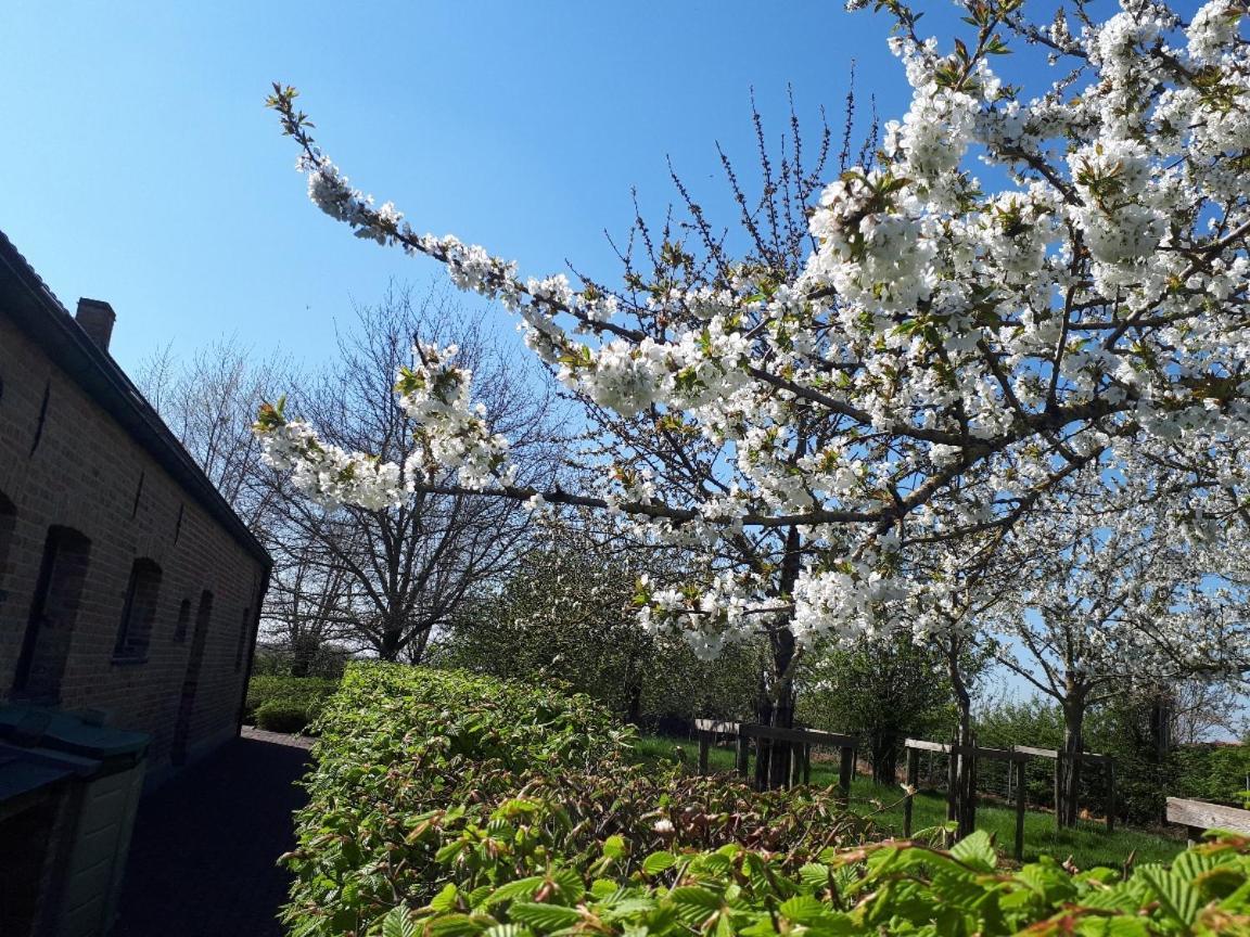 Vakantiehoeve De Klepperij Houthulst Luaran gambar